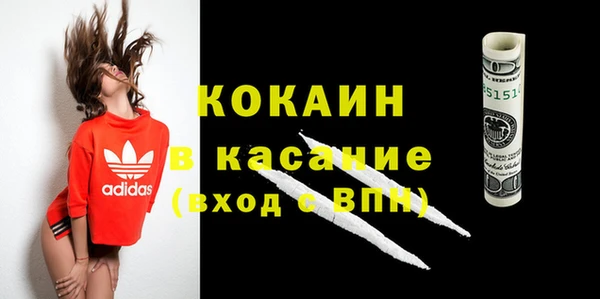 дживик Арсеньев