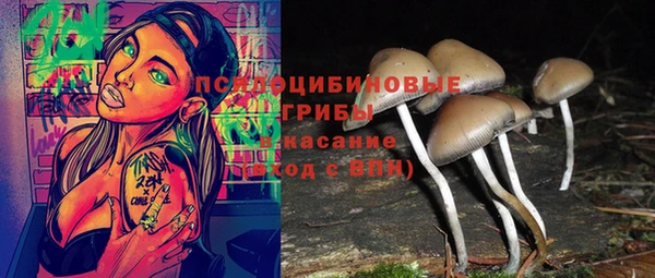 прущий лед Армянск