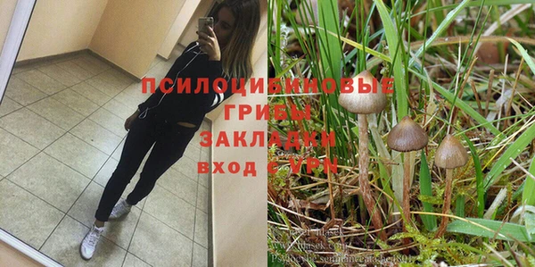 прущий лед Армянск