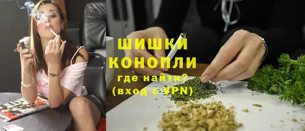 дживик Арсеньев